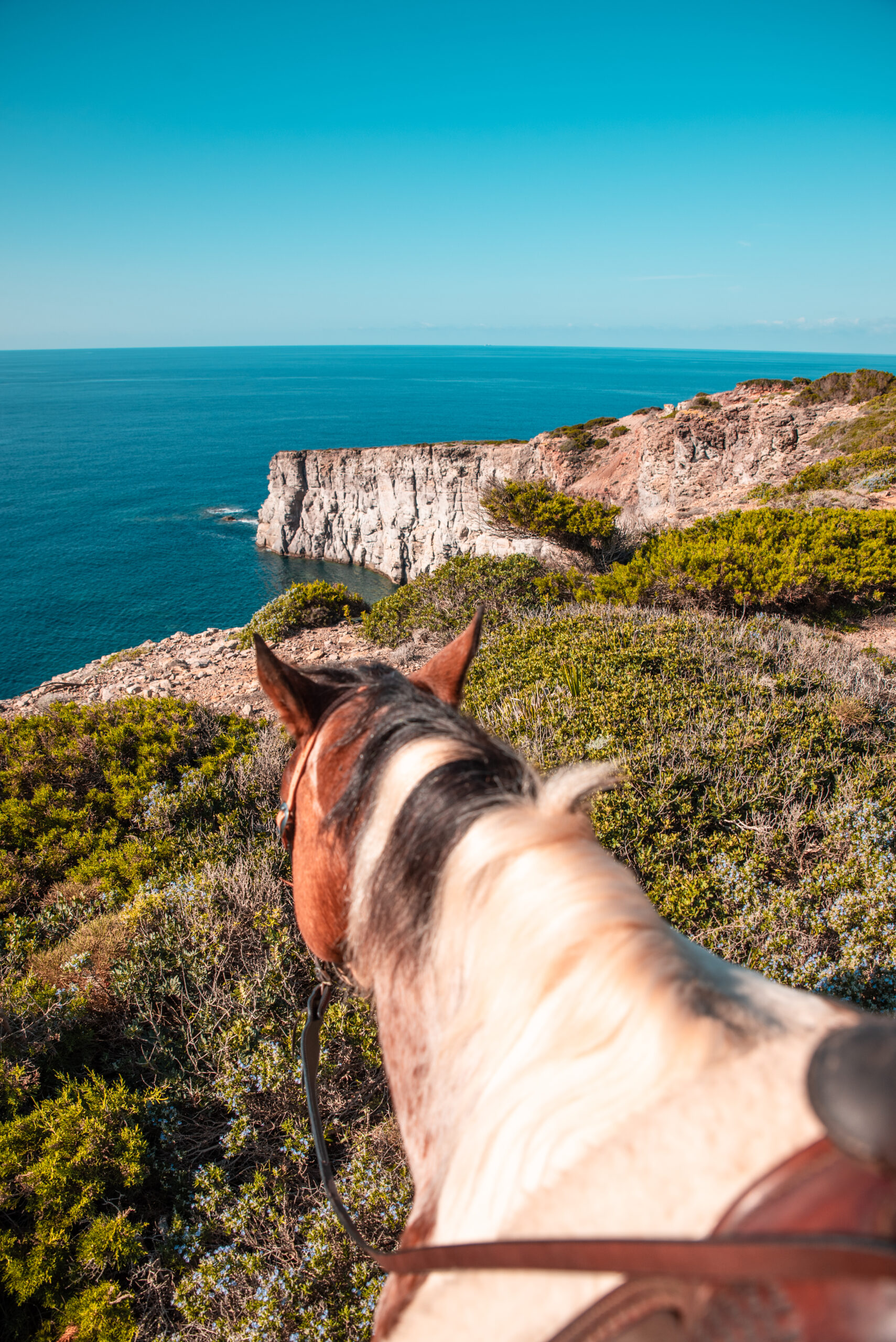 Blick vom Pferderücken auf die Steilküste von Sant'Antioco, Sardinien