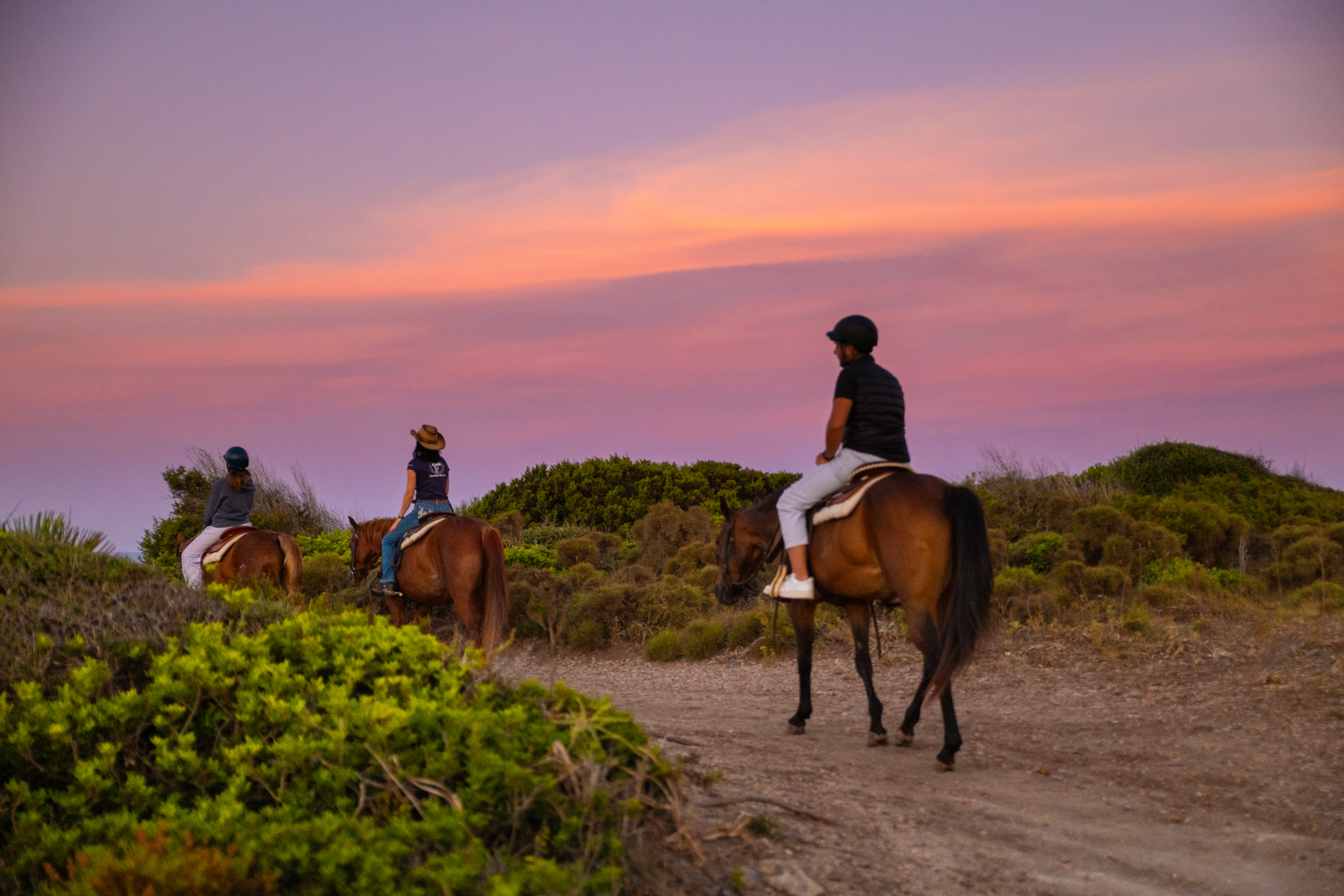 Reiter im Westernsattel unter rosa Morgenhimmel an der Küste Sardiniens